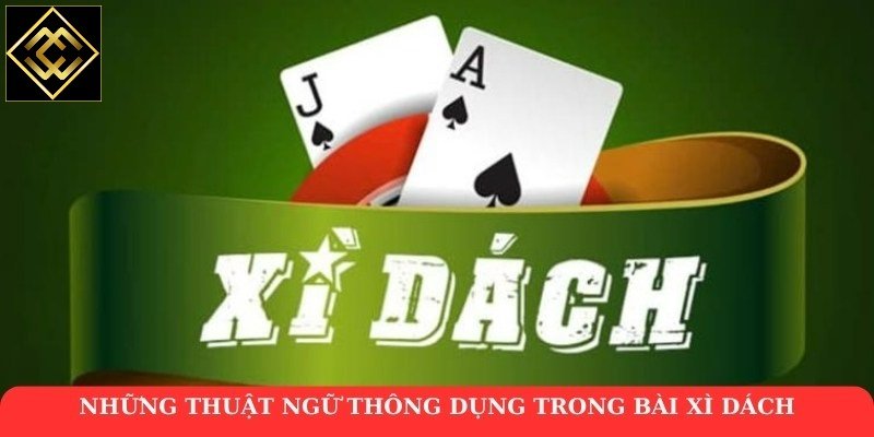 Những thuật ngữ thông dụng trong bài xì dách