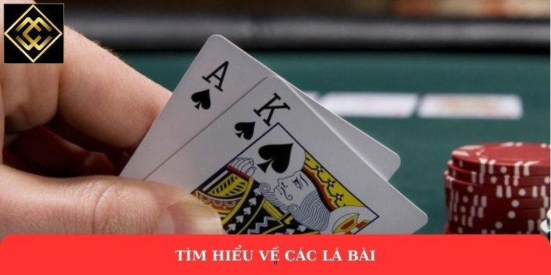 Tìm hiểu về các lá bài