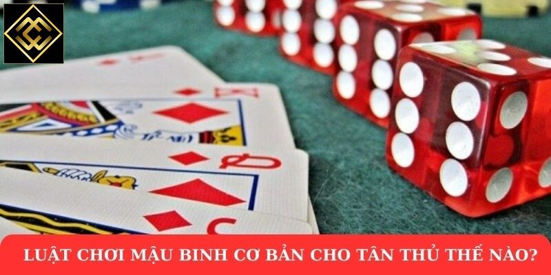 Luật chơi mậu binh cơ bản cho tân thủ thế nào?