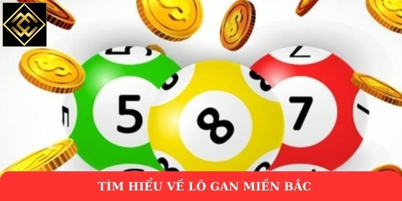 Tìm hiểu về lô gan miền Bắc