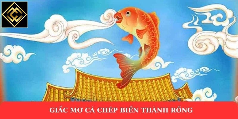 Giấc mơ cá chép biến thành rồng