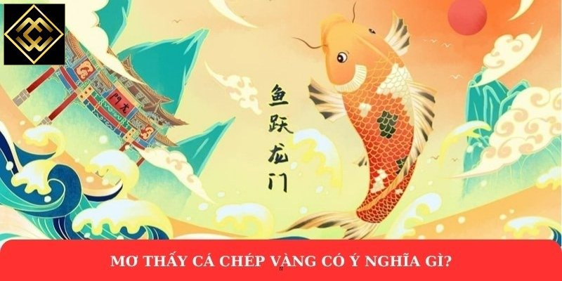 Mơ thấy cá chép vàng có ý nghĩa gì?