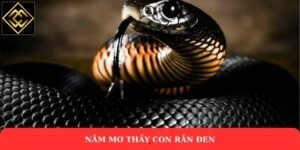 Nằm mơ thấy con rắn đen