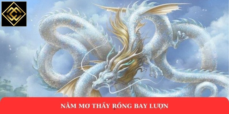 Nằm mơ thấy rồng bay lượn