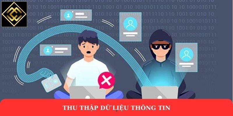 Thu thập dữ liệu thông tin