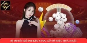 Bí quyết để soi kèo cược xổ số hiệu quả nhất